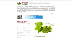 Desktop Screenshot of mincir-sante.com